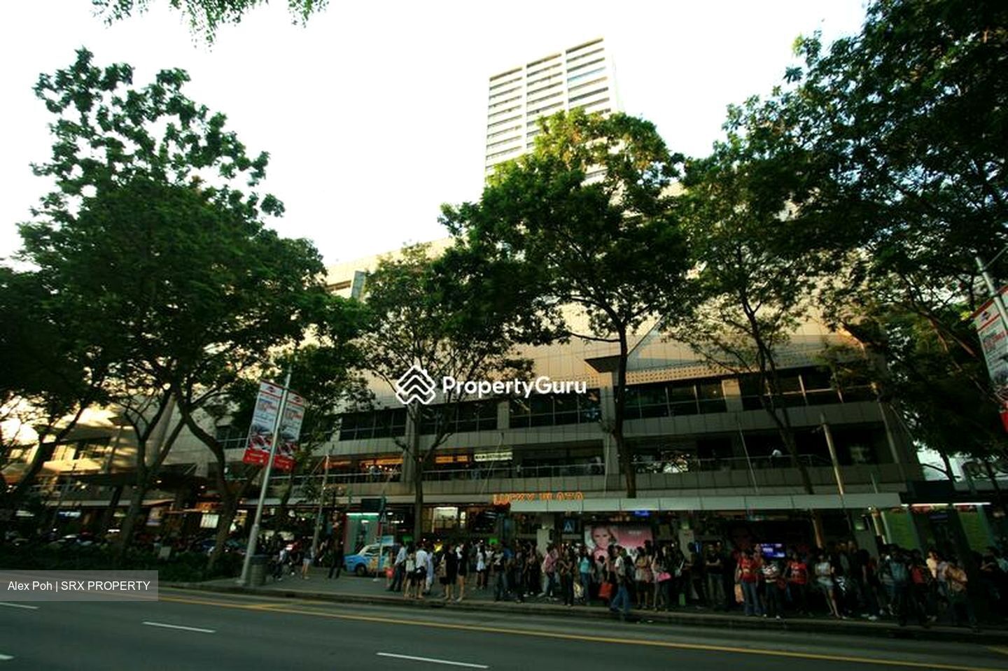 Lucky Plaza (D9), Retail #518051671